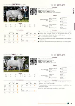 | 49
BRAHMAN
PROP.: AGROPECUÁRIA LEOPOLDINO LTDA
CRIADOR: AGROPECUÁRIA LEOPOLDINO LTDA
CÓDIGO: 000BR00001 | PESO: 950 kg em coleta
LINHAGEM: JDH MR WOODMAN MANSO x JDH SIR MARRI MANSO
Nascimento: 16/02/10
Série: BCAN | RGD: 1487
Informações
000BR00001 | AMOZON DA CANAA
Pedigree
Comentários
JDH MR WOODMAN MANSO
801161
ECOEMA DA CANAA
BCAN 644
JDH SIR LIBERTY MANS
747549
JDH SIR MARRI MANSO
718788
JDH LADY NELDA MANSO
747519
DIAMOND A QUERENCA
499
JDH MR BR. MANSO 175
701836
JDH DOMINO MANSO 42
683995
JDH MADISON DE MANSO
669048
MR HCC 550-7
767364
JDH LADY REM MANSO
645447
JDH QUEEN LILA MANSO
530303
+ JDH LADY NEL MANSO
702925
MISS DIAMOND 245-3
714318
•	 Touro jovem com muita caracterização racial e carcaça, oferece um pacote completo.
•	 Genealogia muito consistente composta por dois importantes touros da raça
provenientes do criatório JDH, dos EUA, Woodman e Marri Manso.
•	 Na avaliação do PMGZ é TOP 13% no iABCZ.
•	 Touro do time de ponta da Fazenda Canaã, que vem dominando as pistas do Brahman
nos últimos anos.
•	 Opção nova e extremamente interessante para rebanhos puros e cruzamento industrial.
Medidas
CC AA PT CG LG AP CE
182 150 221 64 63 159 43
PROP.: AGROPECUÁRIA LEOPOLDINO LTDA
CRIADOR: AGROPECUÁRIA LEOPOLDINO LTDA
CÓDIGO: 000BR0NOEL | PESO: 1048 Kg
LINHAGEM: JDH SIR LIBERTY MANS x MR.V8 777/4
Nascimento: 25/02/09
Série: BCAN | RGD: 1069
Informações
000BR0NOEL | NOEL DA CANAA
Pedigree
Comentários
JDH SIR LIBERTY MANS
747549
MISS BRUMADO FIV 66
BRUB 218
JDH MR BR. MANSO 175
701836
MR.V8 777/4
722181
JDH LADY REM.MANSO
645447
MISS FOUR STAR 589/5
607
JDH DAKOTA MANSO 599
660367
MR V8 702/3
630190
JDH REMINGTON MANSO
350425
MR V8 189/4
676861
JDH LADY GREGA MANSO
660482
MISS V8 666/3
630122
JDH QUEEN AUDRA MANS
500208
JCT MS 19/4
608757
•	 Touro provado. É o destaque do trabalho do Brahman Canaã, fechado em linhagem
americana, filho do grande Liberty Mans.
•	 Amplamente utilizado em rebanhos puros e comerciais, pode ser ainda indicado para
o cruzamento industrial.
•	 Seus filhos nascem pequenos, são homogêneos e crescem rápido.
Medidas
CC AA PT CG LG AP CE
175 151 233 57 63 156 44
PMGZ AGOSTO 2015
REBANHOS: 2 FILHOS: 5
DEP AC% TOP%
PD-ED 0,37 19 41
PS-ED 2,42 23 20
GPD 5,34 20 10
PM-EM -0,27 20 53
TMD 0,34 19 41
IPP -26,25 19 2
DEP AC% TOP%
PES 0,23 17 13
E
P
M
iABCZ 7,70 13
PMGZ AGOSTO 2015
REBANHOS: 20 FILHOS: 373
DEP AC% TOP%
PD-ED -6,25 37 100
PS-ED -9,86 43 98
GPD -2,12 37 69
PM-EM -1,02 24 78
TMD -4,38 30 98
IPP 3,72 25 65
DEP AC% TOP%
PES -0,44 27 97
E
P
M
iABCZ -18,10 99
 