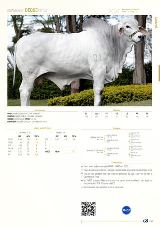| 51
TABAPUÃ
PROP.: MARIA CECILIA JUNQUEIRA GERMANO
CRIADOR: MARIA CECILIA JUNQUEIRA GERMANO
CÓDIGO: 000TB00002 | PESO: 842 Kg
LINHAGEM: LIDER MB DA FLOR x CACHIMBO DA PRATA
000TB00002 | DEQUE FIV TJG
Nascimento: 22/10/2011
Série: FZCH | RGD: 383
Informações Medidas
CC AA PT CG LG AP CE
174 147 227 57 65 160 39
Pedigree
Comentários
LIDER MB DA FLOR
MBF 1187
NORUEGA TE DA PRATA
PRT 5169
RAIO DA PROG.NY
NYFP 1459
CACHIMBO DA PRATA
PRT 2365
AGUIA MB DA FLOR
E3623
EGIDE MB DA FLOR
E3895
LENCOL DA PROG
4893
INSOLENTE DA ABADIA
7812
SEDEIRO DE TAB
2472
FAKIR DA DB
5890
ROSA DA PROG.OF
E1013
ZARABATANA DA PRATA
F999
LIRICA DA PAMPULHA
B7760
AMORA MB DA FLOR
E3627
•	 Touro jovem selecionado pelo PNAT - PMGZ em 2013.
•	 Touro de estrutura moderada e carcaça moderna aliada à excelente caracterização racial.
•	 Traz em seu pedigree dois dos maiores genearcas da raça, Líder MB da Flor e
Cachimbo da Prata.
•	 No PMGZ, já possui filhos em 6 rebanhos, sendo muito equilibrado para todas as
características e TOP 2% para o iABCZ.
•	 Recomendado para rebanhos puros e comerciais.
PMGZ AGOSTO 2015
REBANHOS: 6 FILHOS: 19
DEP AC% TOP%
PD-ED 4,34 29 6
PS-ED 11,44 28 10
GPD 13,01 21 8
PM-EM 1,02 20 9
TMD 3,28 25 6
IPP -8,12 18 0,5
DEP AC% TOP%
PES 0,21 23 18
E
P
M
iABCZ 19,46 2
 