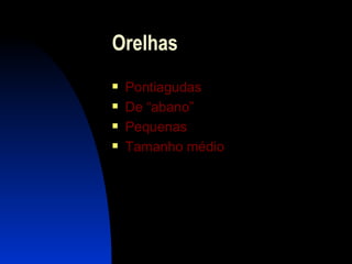 Orelhas Pontiagudas De “abano” Pequenas Tamanho médio 