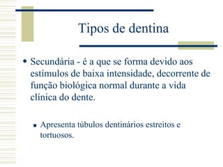 Tipos de dentina

 Secundária - é a que se forma devido aos
  estímulos de baixa intensidade, decorrente de
  função biológica normal durante a vida
  clínica do dente.

     Apresenta túbulos dentinários estreitos e
      tortuosos.
 