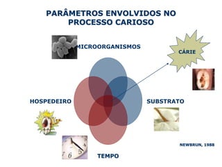 PARÂMETROS ENVOLVIDOS NO
       PROCESSO CARIOSO


             MICROORGANISMOS
                                      CÁRIE




HOSPEDEIRO                     SUBSTRATO




                                      NEWBRUN, 1988


                  TEMPO
 