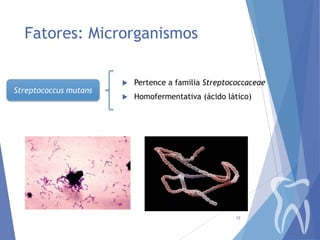 Fatores: Microrganismos

Streptococcus mutans



Pertence a familia Streptococcaceae



Homofermentativa (ácido lático)

15

 