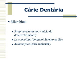 Cárie Dentária

 Microbiota

     Streptococus mutans (início do
      desenvolvimento).
     Lactobacillus (desenvolvimento tardio).
     Actinomyces (cárie radicular).
 
