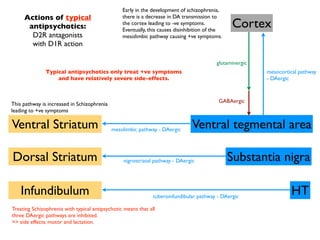 Early in the development of schizophrenia,
     Actions of typical                          there is a decrease in DA transmission to
      antipsychotics:                            the cortex leading to -ve symptoms.
                                                 Eventually, this causes disinhibition of the
                                                                                                Cortex
       D2R antagonists                           mesolimbic pathway causing +ve symptoms.
       with D1R action

                                                                                          glutaminergic
               Typical antipsychotics only treat +ve symptoms                                             mesocortical pathway
                   and have relatively severe side-effects.                                               - DAergic



                                                                                           GABAergic
This pathway is increased in Schizophrenia
leading to +ve symptoms

Ventral Striatum                             mesolimbic pathway - DAergic      Ventral tegmental area

Dorsal Striatum                                  nigrostriatal pathway - DAergic                Substantia nigra

    Infundibulum                                               tuberoinfundibular pathway - DAergic
                                                                                                                   HT
Treating Schizophrenia with typical antipsychotic means that all
three DAergic pathways are inhibited.
=> side effects: motor and lactation.
 