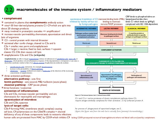 download endocrine toxicology