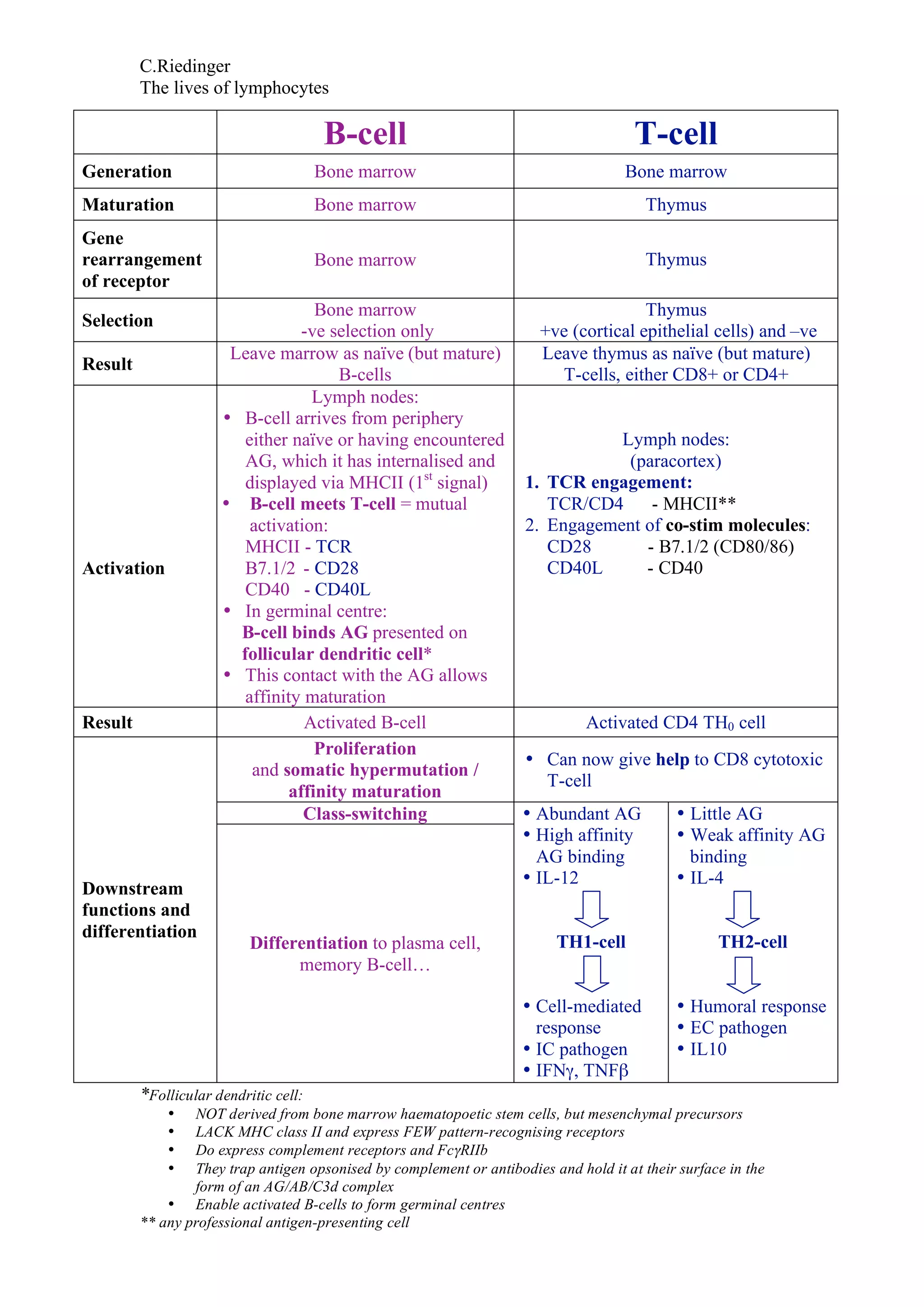 Lymphocytes Values Overview of the lives of lymphocytes | PDF