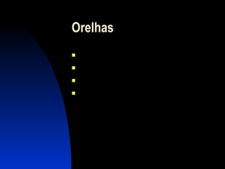 Orelhas Pontiagudas De “abano” Pequenas Tamanho médio 
