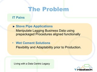 The Problem IT Pains Stove Pipe Applications Manipulate Lagging Business Data using prepackaged Procedures aligned functionally Wet Cement Solutions Flexibility and Adaptability prior to Production. Living with a Data Centric Legacy 