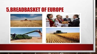 5.BREADBASKET OF EUROPE
 