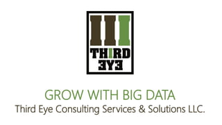 GROW WITH BIG DATA
Third Eye Consulting Services & Solutions LLC.
 
