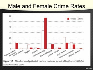 Male and Female Crime Rates
 