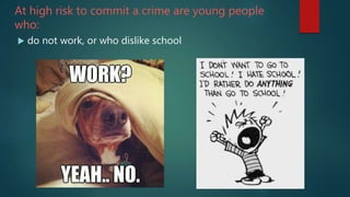 At high risk to commit a crime are young people
who:
 do not work, or who dislike school
 