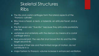 SURGICAL ANATOMY OF THE CHEST WALL | PPTX