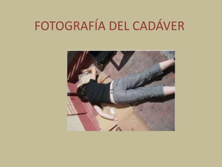 FOTOGRAFÍA DEL CADÁVER

 