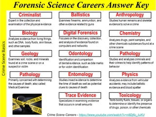 Forensics and Crime Scene Basics Lesson 1 | PPTX