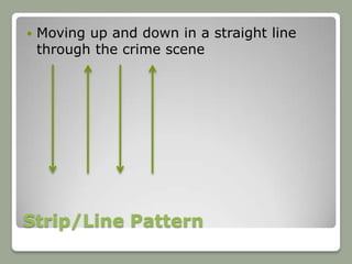    Moving up and down in a straight line
    through the crime scene




Strip/Line Pattern
 