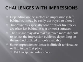 Comprehensive Guide to Crime Scene Impression Evidence Collection and ...