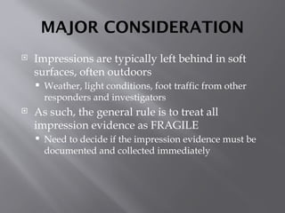 Comprehensive Guide to Crime Scene Impression Evidence Collection and ...