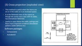 Projected Pattern Forensic Image Crime Scene Management (forensic science) | PDF