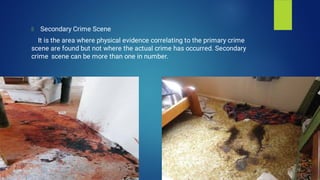 Crime Scene Management (forensic science) | PDF