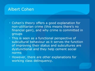 Crime subcultural perspectives | PPT