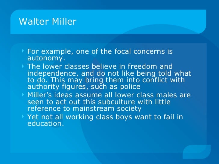 Crime subcultural perspectives