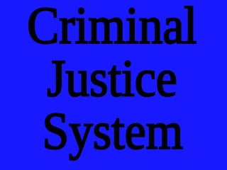 Criminal Justice System 