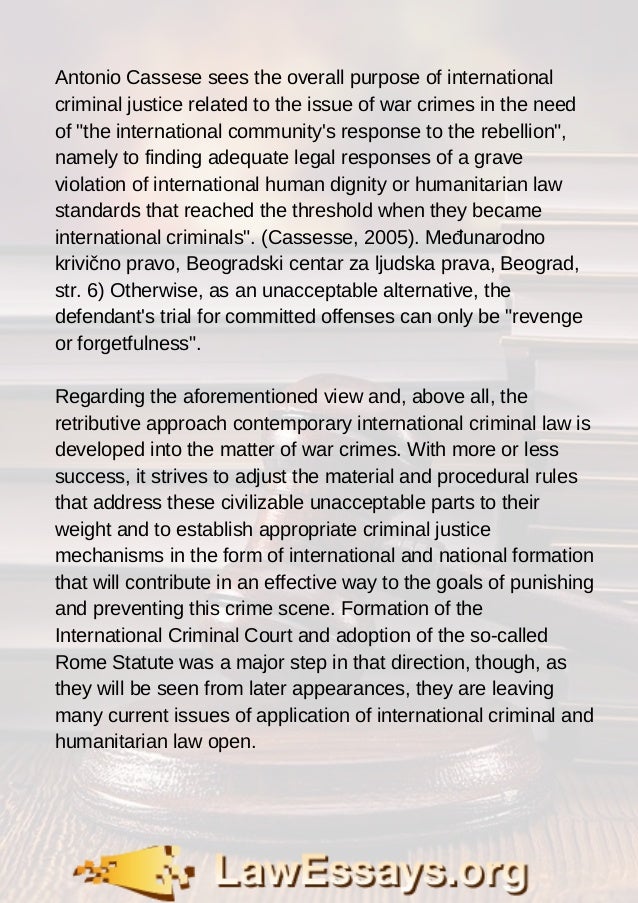 essay about criminal law