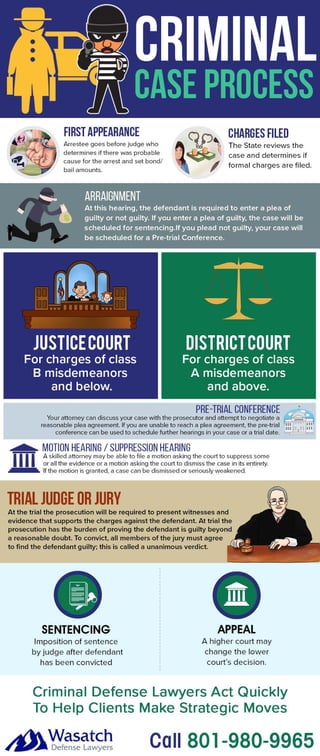Infographic: Criminal Justice Process