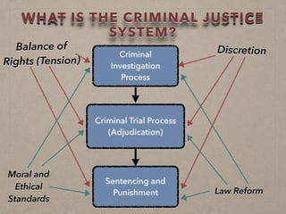 Criminal Investigation Process | PDF