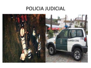 POLICIA JUDICIAL
 