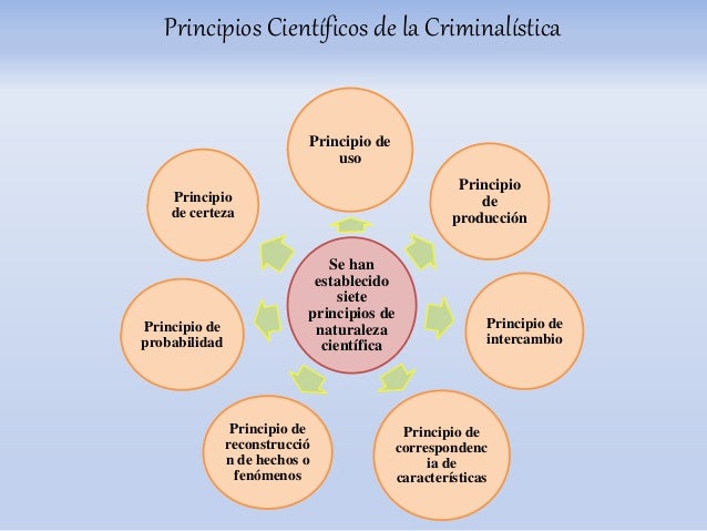 Criminalistica