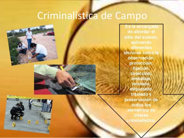 Criminalística