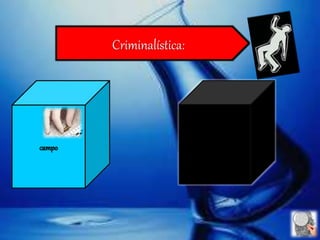 Criminalística: 
 