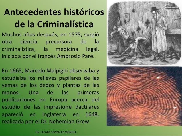 Criminalistica