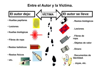 • Restos físicos,
• etc.
. Documentos de
Identidad.
. Joyas, etc.
Entre el Autor y la Víctima.
VÍCTIMAEl autor deja: El autor se lleva:
• Huellas papilares,
• Lesiones,
• Huellas biológicas,
• Fibras de ropa,
• Restos balísticos,
. Restos biológicos.
. Lesiones.
. Fibras de
ropa.
. Objetos de valor.
. Dinero.
 