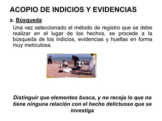 ACOPIO DE INDICIOS Y EVIDENCIAS
a. Búsqueda
Una vez seleccionado el método de registro que se debe
realizar en el lugar de los hechos, se procede a la
búsqueda de los indicios, evidencias y huellas en forma
muy meticulosa.
Distinguir que elementos busca, y no recoja lo que no
tiene ninguna relación con el hecho delictuoso que se
investiga
 