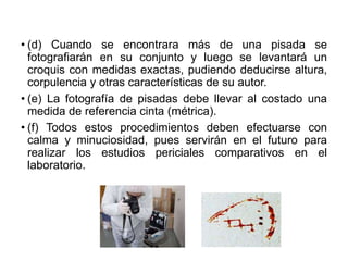 • (d) Cuando se encontrara más de una pisada se
fotografiarán en su conjunto y luego se levantará un
croquis con medidas exactas, pudiendo deducirse altura,
corpulencia y otras características de su autor.
• (e) La fotografía de pisadas debe llevar al costado una
medida de referencia cinta (métrica).
• (f) Todos estos procedimientos deben efectuarse con
calma y minuciosidad, pues servirán en el futuro para
realizar los estudios periciales comparativos en el
laboratorio.
 