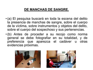 DE MANCHAS DE SANGRE.
• (a) El pesquisa buscará en toda la escena del delito
la presencia de manchas de sangre, sobre el cuerpo
de la víctima, sobre instrumentos y objetos del delito,
sobre el cuerpo del sospechoso y sus pertenencias.
• (b) Antes de proceder a su recojo como norma
general se debe fotografiar en su totalidad, y de
preferencia que aparezca el cadáver u otras
evidencias próximas.
 