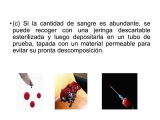 •(c) Si la cantidad de sangre es abundante, se
puede recoger con una jeringa descartable
esterilizada y luego depositarla en un tubo de
prueba, tapada con un material permeable para
evitar su pronta descomposición.
 
