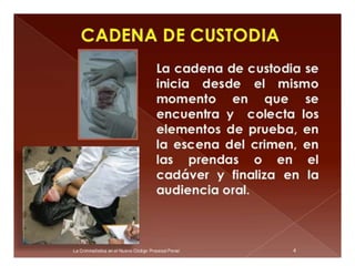Curso de Criminalistica 