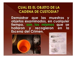 Curso de Criminalistica 