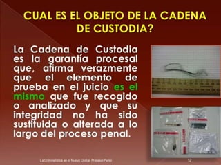 Curso de Criminalistica 