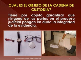 Curso de Criminalistica 