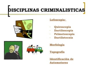 DISCIPLINAS CRIMINALISTICAS <ul><li>Lofoscopia:  </li></ul><ul><li>Quiroscopia </li></ul><ul><li>Dactiloscopia </li></ul><...