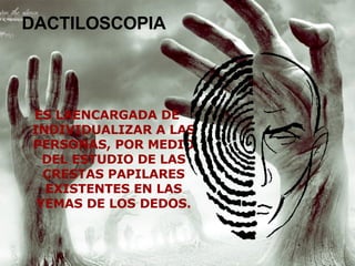 DACTILOSCOPIA ES LAENCARGADA DE INDIVIDUALIZAR A LAS PERSONAS, POR MEDIO DEL ESTUDIO DE LAS CRESTAS PAPILARES EXISTENTES EN LAS YEMAS DE LOS DEDOS. 
