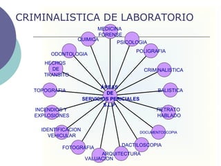 CRIMINALISTICA DE LABORATORIO QUIMICA ODONTOLOGIA HECHOS  DE TRANSITO TOPOGRAFIA INCENDIOS Y  EXPLOSIONES IDENTIFICACION  VEHICULAR FOTOGRAFIA VALUACION ARQUITECTURA DACTILOSCOPIA DOCUMENTOSCOPIA RETRATO HABLADO BALISTICA CRIMINALISTICA  POLIGRAFIA PSICOLOGIA MEDICINA   FORENSE ÁREAS  DE SERVICIOS PERICIALES S.L.P. 