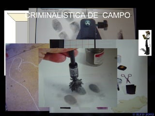 CRIMINALISTICA DE  CAMPO 
