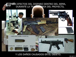 LOS EFECTOS DEL DISPARO DENTRO DEL ARMA, DURANTE LA TRAYECTORIA DEL PROYECTIL Y LOS DAÑOS CAUSADOS EN EL OBJETO. 