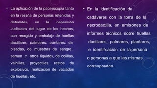 • La aplicación de la papiloscopia tanto
en la reseña de personas retenidas y
detenidas, en la inspección
Judiciales del lugar de los hechos,
con recogida y embalaje de huellas
dactilares, palmares, plantares, de
pisadas, de muestras de sangre,
semen y otros líquidos, de colillas,
vainillas, proyectiles, restos de
explosivos, realización de vaciados
de huellas, etc.
• En la identificación de
cadáveres con la toma de la
necrodactilia, en emisiones de
informes técnicos sobre huellas
dactilares, palmares, plantares,
e identificación de la persona
o personas a que las mismas
corresponden.
 